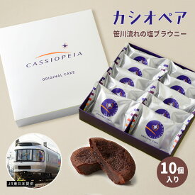 【チョコブラウニー】電車 カシオペア 笹川流れの塩ブラウニー10個入 寝台特急 団体臨時専用列車 鉄道 カシオペア紀行 ショコラ ケーキ プチギフト 個包装 お返し スイーツ ギフト 挨拶　御礼　お菓子 お祝い