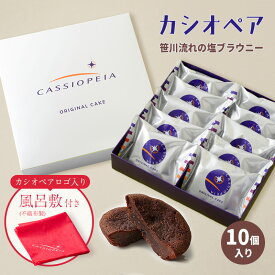 【カシオペアロゴ入り風呂敷(不織布製)付き】カシオペア 笹川流れの塩ブラウニー10個入 寝台特急 団体臨時専用列車 鉄道 カシオペア紀行 ショコラ ケーキ プチギフト 個包装 お返し スイーツ ギフト 挨拶　御礼　お菓子 お祝い