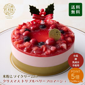 ポイント5倍★11/30まで【送料無料】TOIRO クリスマス トリプルベリーフロマージュ5号(直径約15cm)　レアチーズケーキ【小麦・卵・乳成分不使用】【魚沼コシヒカリの米粉100％使用】【ソイクリーム】【グルテンフリー生活の方へ】【レアチーズ風】【アレルギー対応】【予約】