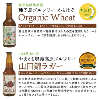 九州旅気分!クラフトビール8本詰合せセット地ビール九州福岡熊本宮崎鹿児島山口冷蔵