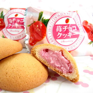 B Mtg 2025@Y@܂䕎gpق@܂䕃`RNbL[i20jyzI81S02y퉷z