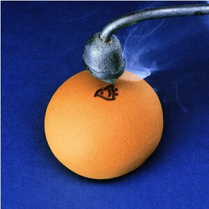 B Mtg 2025yفzfނ̂𐶂َq璹\{ 璹\i15j/ yY  I83C07y퉷z