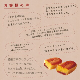 【さかえ屋】なんばん往来(8個入)【福岡銘菓】I83Z01