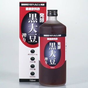 九州 ギフト 2025 堤酒造 発酵黒大豆搾り (720ml)【RCP】J18Z07【常温】