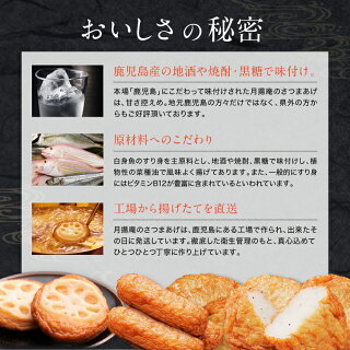 【規格変更の為、一旦売切れ2015/08/24】鹿児島名物土産月揚庵さつまあげ詰合せ(23個)【TB-30】うれしい☆【送料無料】