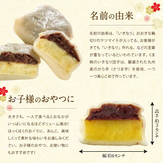 楽天市場 九州 ギフト 21 くま純 熊本名物いきなり団子 個入 熊本 お土産 熊本 土産 さつまいも お菓子 唐芋 から芋 冷凍 ｊｒ九州商事オンラインショップ