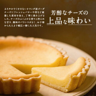 楽天市場 九州 ギフト 21 カース ケイク タンテ アニーおばさんのチーズケーキ 大 ハウステンボス お土産 長崎 お土産 チーズタルト ベイクドチーズケーキ スイーツ お取り寄せ ギフト 冷蔵 jr九州商事オンラインショップ 楽天市場 九州 ギフト 21 カース ケイク タンテ アニーおばさんのチーズケーキ 大 ハウステンボス お土産 長崎 お土産 チーズタルト ベイクドチーズケーキ スイーツ お取り寄せ ギフト 冷蔵 jr九州商事オンラインショップ