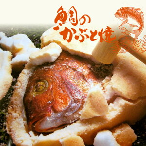 B Mtg 2025@vۓcY ̂ԂƏĂiāj900g 茧Y@Mtg yY 蕨 yY 茧 薼@y@ @j 䒆 hV̓ Ε v