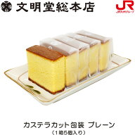 九州 ギフト 2026　文明堂総本店 カステラ プレーン 1箱 5切れ 文明堂 カステラ 長崎カステラ ザラメ か…
