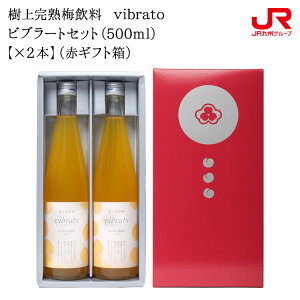 B Mtg 2025@ܖH[ ㊮n~ vibratoru[gZbgi500mljy×2{ziԃMtgj B 啪 c 蕨 yY  Mtg v`Mtg 퉷
