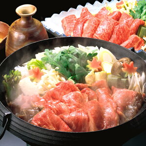 B Mtg 2025@JA ꋍ[XĂEԂԗpi400gj ꌧY yⓀz yz