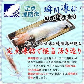 楽天市場 九州 ギフト 2021 いか道楽 佐賀呼子産いか活造り灘一剣 有田焼皿盛 佐賀県産 呼子のイカ 呼子名物 佐賀名物 贈り物 お土産 佐賀県 お取り寄せ 有田焼 母の日 父の日 御中元 敬老の日 御歳暮 プレゼント I39z00 冷凍 ｊｒ九州商事オンラインショップ