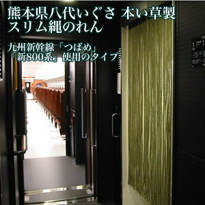 B Mtg 2025@ア{EX̂񂤂ꂵyzyszyアzI90Z02y퉷z