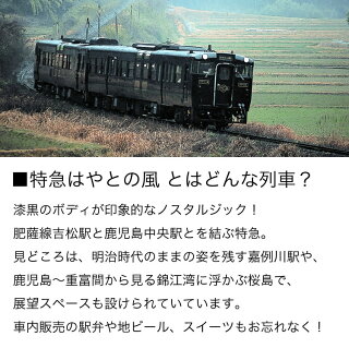 特急列車特急はやとの風手造り焼酎石蔵25度500ml芋焼酎25度鹿児島土産ギフト鹿児島県常温