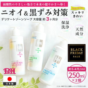 yP10{&N[|p30%OFF!!zy2ZbgzP&H fP[g][ \[v vio \[v ɂ  tFPA 250ml sCGC` tF~jEHbV / WF^Cv { A~m_ ̏L 