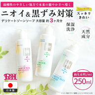 【期間限定!!】【20％OFF&P10倍!!】P&H デリケートゾーン ソープ 250ml VIO フェムケア におい かゆみ 乾…