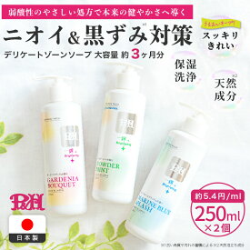 【2個セット】P&H デリケートゾーン ソープ 250ml vio ソープ におい かゆみ フェムケア ピイエイチ フェミニンウォッシュ / ジェルタイプ 日本製 アミノ酸 体臭 消臭ケア 乳首 お尻 脇 選べる3種の香り 低刺激