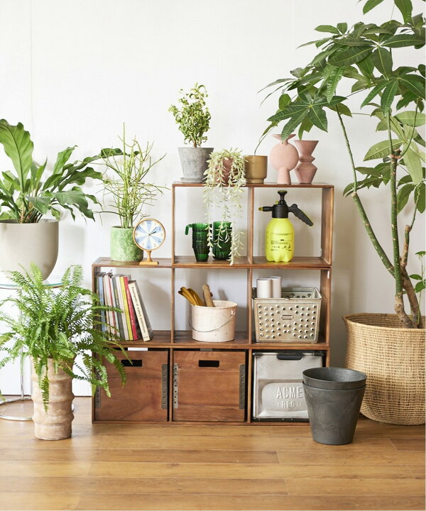 楽天市場】アクメファニチャー ACME Furniture TROY BOX L トロイ 