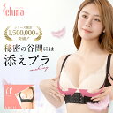 プリンセスアーチ 添えブラ 単品 添えるブラ 補正ブラジャー 小胸 補正下着 ブラ ブラジャー 胸 大きい 補正 脇肉 背肉 わき肉 脇高ブラ ナイトブラ 垂れ 離れ 昼夜兼用 大きいサイズ 姿勢