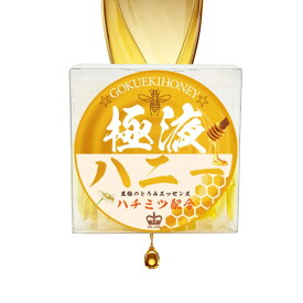 極液 ハニー GOKUEKI スティック 1ケース 10ml×50本入り スティックパウチ ハチミツ 入り イエロー ベタつかない とろみエッセンス 無香 セラピスト 出張対応セラピスト様にも マッサージリキッド マッサージオイル 水溶性 エステ リラクゼーション サロン 国産 保湿