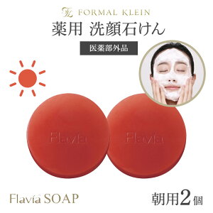 ��p �t���r�A ���Ό� �\�[�v 2�Z�b�g ���p2�� �e67g �� �Ō` ��点������ �΂��� ��򕔊O�i ���Y�� �A �ь��P�A �j�L�r �o���̍���t�� �q�A�������_ ���Z�x �t���o���W�F�m�[�� �z�� 