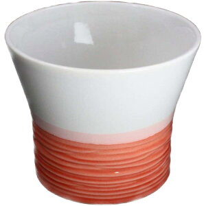 yIׂ5zfU[gJbv  180cc 8.5×6.8cm  Z aH { aH Y ACXN[ ACX H  킢  HΉ bsOs