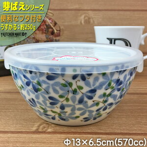  ΂ 13×6.5cm mbv pbN  570cc Z {  JtF Y y y  JtF H ԕ t[   u[ WΉ H@Ή