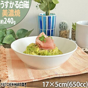   17×5cm YK170  {E 650cc 240g Z {  zCg |[Z[c   pX^ J[  ` H fBi[ ی^   M y y H H@Ή b