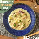 【楽天スーパーSALE 10％ 割引】ネプチューン うすかる 22cm 丸皿 プレート 70皿 約360g ネイビー お皿 大皿 カレー皿 パスタ皿 サラダ 美濃焼 日本製 陶器 軽量 軽い おしゃれ 食器 北欧風 食洗機対応 ラッピング不可