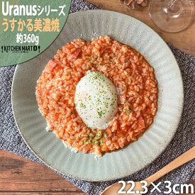 ウラヌス うすかる 22cm 丸皿 プレート 70皿 約360g グレー 丸 丸型 皿 大皿 カレー皿 パスタ皿 サラダ 美濃焼 和食器 日本製 陶器 軽量 軽い おしゃれ カフェ 食器 北欧風 食洗機対応 ラッピング不可
