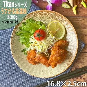 タイタン うすかる 16.8cm 丸皿 プレート 50皿 約200g 丸 丸型 皿 パスタ皿 カレー皿 サラダ 美濃焼 国産 日本製 陶器 軽量 軽い おしゃれ カフェ 食器 北欧風 食洗機対応 ラッピング不可
