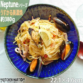 ネプチューン 美濃焼 うすかる RK パスタ皿 22.1×4.6cm 丸 ボウル 約380g カレー皿 サラダ ネイビー 丸型 皿 和食器 国産 日本製 陶器 軽量 軽い おしゃれ 深い 食器 北欧風 食洗機対応 最短翌日配送(平日のみ)