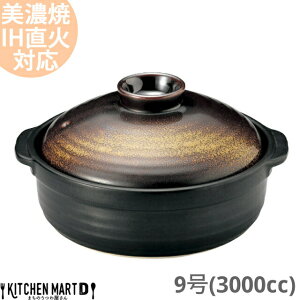 yzIHΉ y Z aH  c 9 (3000cc 4 5lp)XeXZbg { ϔM ΑΉ   ubN S[h  傫 l j Vj Mtg 