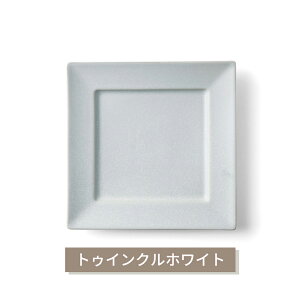 ���Z�� �H�� cadre Oval&Squrare �p24cm�v���[�g �I�ׂ�4�F 24×24×2.6cm ���C���M �f�B�i�[�M ����M �p�X�^�M �����v���[�g�M �����`�v���[�g �[�R ���� ���M �֗� ������� ���킢���H��@�Ή� ����