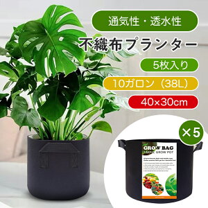 sDzv^[ Aؔ sDz 10K 38L 40×30cm 5 v^[  Aؔ y y ƒ؉ x_؉ sDz|bg K[fjO  z v^[ ^ K[fj