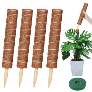 y_Ch?v`i聏777~OFF/z(2Zbg)Xe x ϗtA |x鐫A ϗtA RRibcx AT|[g t[X^h Ԏx K[fjOx _