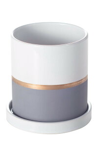 픫 Aؔ v^[  ~` ϗp 󂯎Mt  ϗtA k  ʋC  lTCY(10.6cm)