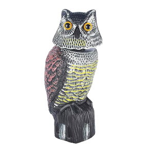 悯tNE tNE̒uԎ蓮phwbh 悯 Q΍ ӂ낤 JX悯 U ɗh360x x_  ̑