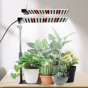 50W A琬Cg X^ht LED tXyNgLEDACg ͔| c؍͔| ԐA͔|k͔|v A͔|H /|ɓKp