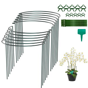 Ax 12Zbg 25cmx40cm ~` Ԃ 鐫A ϗtA U x ϗtx K[fjOpx |x AT|[g Ԏx _Ɨp |p