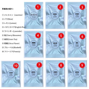 ★★詰め替え芳香剤 10枚セット 10種の香り ベアーパイロット シリーズ専用 (本体なし)