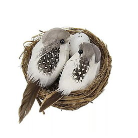庭 の芝生の 装飾 のための巣と鳥の卵の創造的な人工 工芸品 と1セットの現実的な羽をつけた鳥家の 車 の 装飾