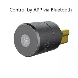 ステンレス鋼 スマート ロック ボディ指紋電話制御 ロック アクセス ロック コア ドア ロック 修正 アップグレード
