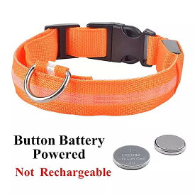 犬 用 LED ライト 付き 充電式 USB 懐中電灯 ネックレス 安全性 屋外 ウォーキング 夜 散歩 ノベルティ2022