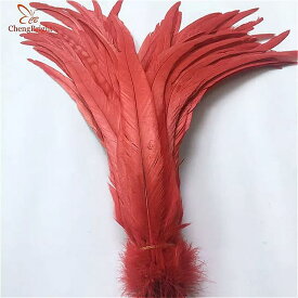 Chengbright100 ピース 14-16 インチ 赤いオンドリ尾 羽 用 装飾 クラフト 羽 christma キジ 羽 diy