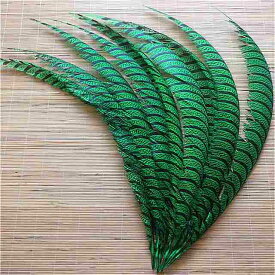 美しい 10 個 32-36 ''/80-90 センチメートル 自然 ギンケイ キジ の 尾羽 工芸品 phesant 羽 プルーム 装飾
