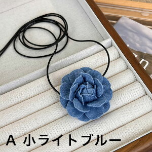 `[J[ S2F Iׂ傫 fjn ANZT[ RT[W  t[`[t  wAANZT[ 傫 傫 Ќ_X l Ӊ i GKg p[eB[ 