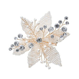 uC_ ANZT[ wA ANZT[ rW[p[ t[ fUC wAANZ st wbhhX EFfBO ԉ  uC_ Bep   ANZT[ I