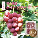 【9月中旬以降発送予定】赤ぶどう クイーンニーナ 2kg前後 3〜5房 皮付き 送料無料 岡山ぶどう ぶどう 数量限定 北海道沖縄一部地域配送不可
