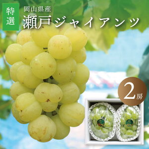 y9/4()20X^[g 5,780~5,200~z y9{ȍ~\z˃WCAc Ԃǂ R I Y Ȃ 햳 炲ƐHׂ uhE 2[ 1.2kgO  RԂǂ Y 